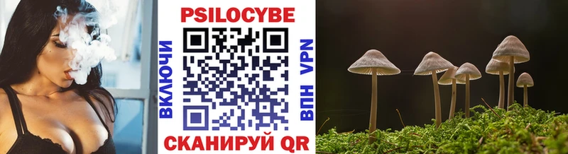 где можно купить   Жирновск  Псилоцибиновые грибы прущие грибы 